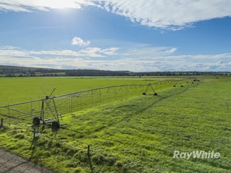 Rural / Farming commercial property for sale at 83 Knodlers Lane, Maison Dieu Singleton NSW 2330 Rural / Farming commercial property for sale at 83 Knodlers Lane, Maison Dieu Singleton NSW 2330