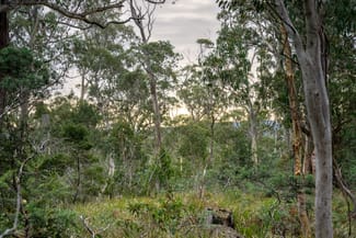 Rural / Farming commercial property for sale at 'Hardings Bay Retrea Lake Leake Road Lake Leake TAS 7210