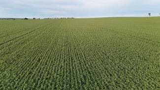 Rural / Farming commercial property for sale at 'Cavan Downs' Heaslip Highway Huddleston SA 5523