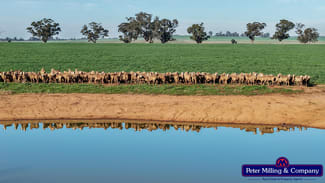 Rural / Farming commercial property for sale at 48R Quamby Road Wongarbon NSW 2831