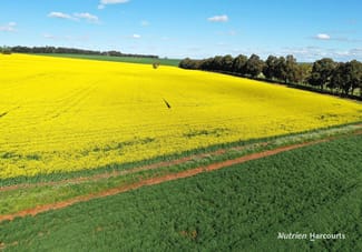 Rural / Farming commercial property for sale at 223 Mungedar Road Badgingarra WA 6521 Rural / Farming commercial property for sale at 223 Mungedar Road Badgingarra WA 6521