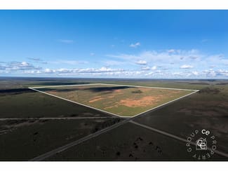 Rural / Farming commercial property for sale at Section 189 Sandleton Road Sandleton SA 5356