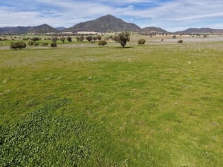Rural / Farming commercial property for sale at "Part Bompa" 125 Clift Lane Currabubula NSW 2342 Rural / Farming commercial property for sale at "Part Bompa" 125 Clift Lane Currabubula NSW 2342