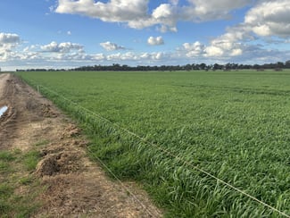 Rural / Farming commercial property for sale at - Hansen Road Ballendella VIC 3561 Rural / Farming commercial property for sale at - Hansen Road Ballendella VIC 3561