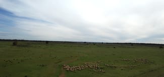 Rural / Farming commercial property for sale at 'Glenmore' The Bogan Way Tullamore NSW 2874
