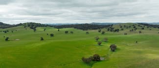 Rural / Farming commercial property for sale at 1285 Yerong Creek Mangoplah Road Mangoplah NSW 2652