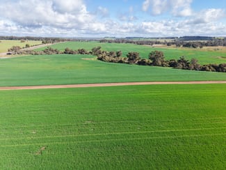 Rural / Farming commercial property for sale at 1431 Boyup Brook-Kojonup Road Mayanup WA 6244