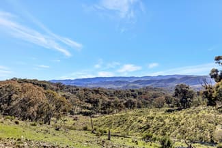 Rural / Farming commercial property for sale at 954 Pyramul Road Mudgee NSW 2850 Rural / Farming commercial property for sale at 954 Pyramul Road Mudgee NSW 2850