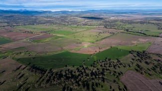 Rural / Farming commercial property for sale at 1140 Swinging Ridges Road Willow Tree NSW 2339
