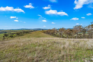 Rural / Farming commercial property for sale at Off Goorangoola Road Greenlands Singleton NSW 2330 Rural / Farming commercial property for sale at Off Goorangoola Road Greenlands Singleton NSW 2330