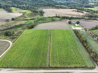 Rural / Farming commercial property for sale at Lot 7 Primroses Road Finch Hatton QLD 4756 Rural / Farming commercial property for sale at Lot 7 Primroses Road Finch Hatton QLD 4756