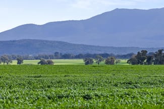 Rural / Farming commercial property for sale at 1077 Yarram Gap Road Willaura VIC 3379
