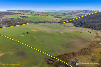 Rural / Farming commercial property for sale at 817 Nugent Rd Wattle Hill TAS 7172