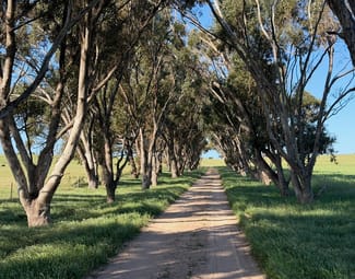 Rural / Farming commercial property for sale at 339 Butcher Road Bookara WA 6525 Rural / Farming commercial property for sale at 339 Butcher Road Bookara WA 6525