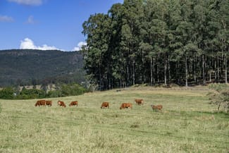 Rural / Farming commercial property for sale at 0 Spiller Road Moy Pocket QLD 4574