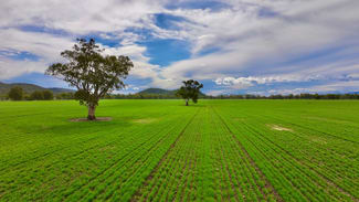 Rural / Farming commercial property for sale at 177 Therribri Road Boggabri NSW 2382 Rural / Farming commercial property for sale at 177 Therribri Road Boggabri NSW 2382