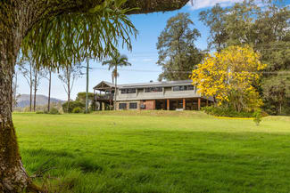 Rural / Farming commercial property for sale at 1135 Darkwood Road Bellingen NSW 2454