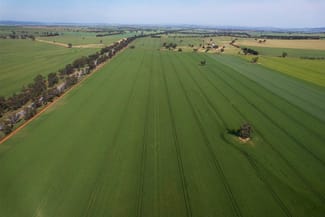 Rural / Farming commercial property for sale at 0 Marrar South Road Yathella NSW 2650
