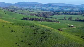 Rural / Farming commercial property for sale at 171 Nashs Road Murrindindi VIC 3717 Rural / Farming commercial property for sale at 171 Nashs Road Murrindindi VIC 3717