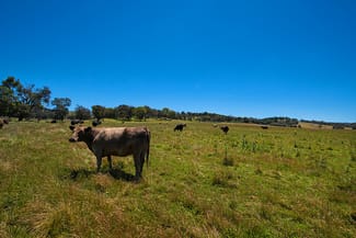 Rural / Farming commercial property sold at 3/769 Black Springs Road Mudgee NSW 2850 Rural / Farming commercial property sold at 3/769 Black Springs Road Mudgee NSW 2850
