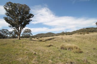 Rural / Farming commercial property sold at 3/1733 Lower Piambong Road Mudgee NSW 2850