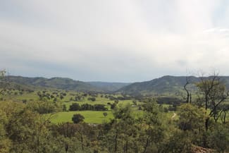Rural / Farming commercial property sold at 1985 Hill End Road Mudgee NSW 2850