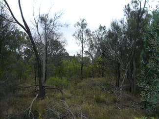 Rural / Farming commercial property sold at 130 HARWOODS ROAD Tara QLD 4421