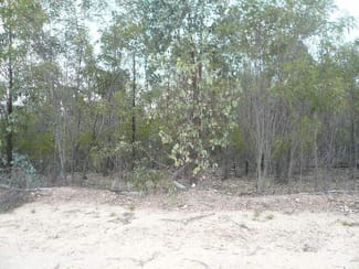 Rural / Farming commercial property sold at 83 ORCHARD ROAD Tara QLD 4421 Rural / Farming commercial property sold at 83 ORCHARD ROAD Tara QLD 4421