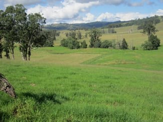 Rural / Farming commercial property sold at 1397 Dungog Rd Dungog NSW 2420 Rural / Farming commercial property sold at 1397 Dungog Rd Dungog NSW 2420