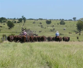 Rural / Farming commercial property sold at Kiah Taroom Roma QLD 4455 Rural / Farming commercial property sold at Kiah Taroom Roma QLD 4455