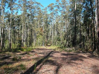 Rural / Farming commercial property sold at Elands NSW 2429