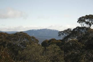 Rural / Farming commercial property sold at Lot 4/6 Callemondah Road Shannons Flat NSW 2630 Rural / Farming commercial property sold at Lot 4/6 Callemondah Road Shannons Flat NSW 2630