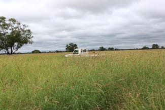 Rural / Farming commercial property sold at Roma QLD 4455 Rural / Farming commercial property sold at Roma QLD 4455