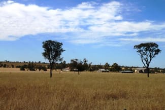 Rural / Farming commercial property sold at Roma QLD 4455 Rural / Farming commercial property sold at Roma QLD 4455