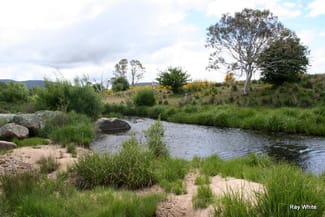 Rural / Farming commercial property sold at 4687 Cooma Rd Braidwood NSW 2622 Rural / Farming commercial property sold at 4687 Cooma Rd Braidwood NSW 2622