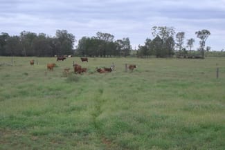 Rural / Farming commercial property sold at Roma QLD 4455 Rural / Farming commercial property sold at Roma QLD 4455