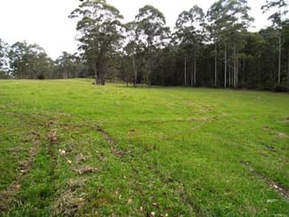 Rural / Farming commercial property sold at Wherrol Flat NSW 2429 Rural / Farming commercial property sold at Wherrol Flat NSW 2429