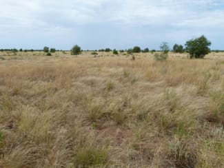 Rural / Farming commercial property sold at Humeburn Road Cunnamulla QLD 4490 Rural / Farming commercial property sold at Humeburn Road Cunnamulla QLD 4490