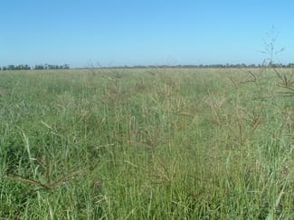 Rural / Farming commercial property sold at - Chinchilla Wondai Road Canaga QLD 4413 Rural / Farming commercial property sold at - Chinchilla Wondai Road Canaga QLD 4413