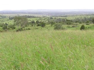 Rural / Farming commercial property sold at 0 Marlborough Sarina Marlborough QLD 4705 Rural / Farming commercial property sold at 0 Marlborough Sarina Marlborough QLD 4705