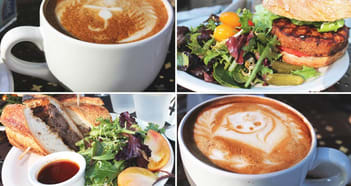 Food, Beverage & Hospitality Business in Alexandria