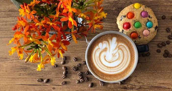 Franchise Resale Business in NSW