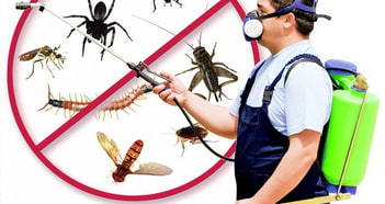 Pest Related Business in Kiama