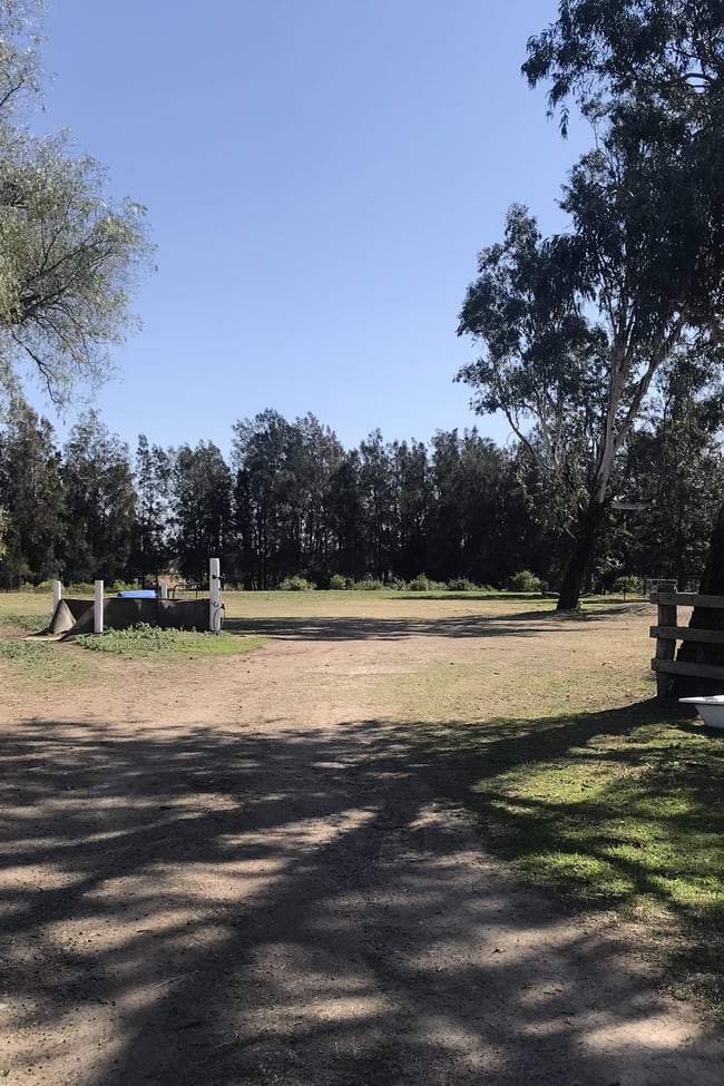 9 Elderslie Road Branxton NSW 2335 9 Elderslie Road Branxton NSW 2335