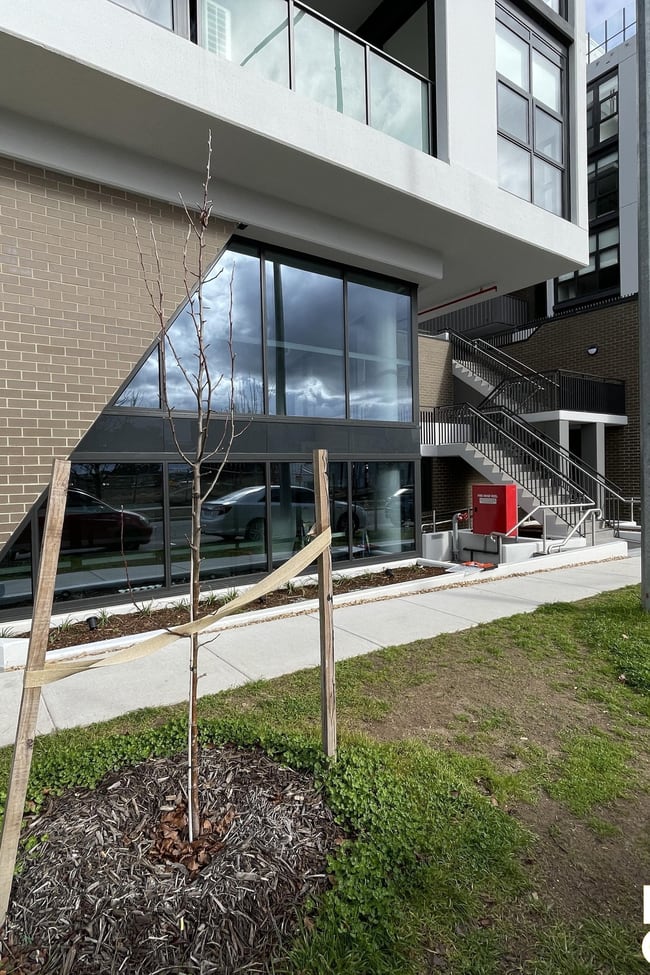 155/70 Efkarpidis Street Gungahlin ACT 2912