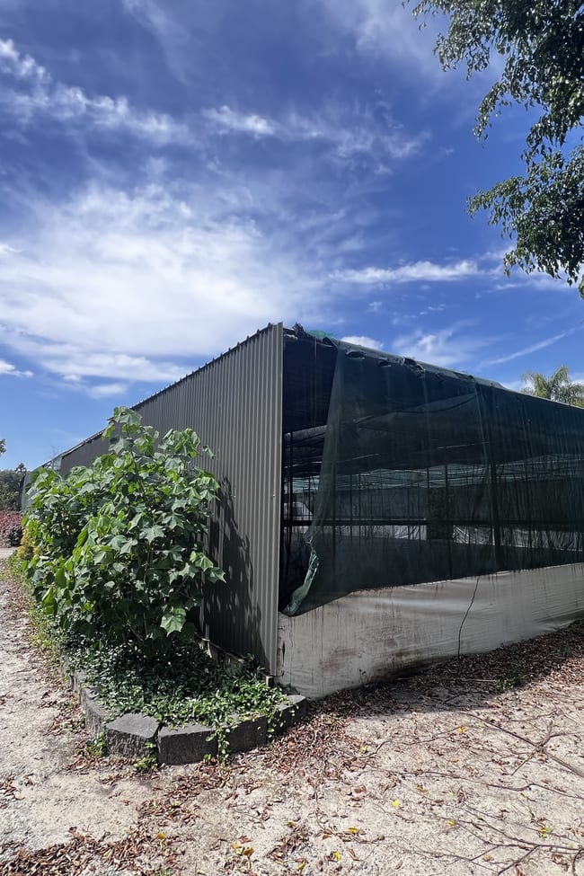 212 Rosia Road Park Ridge QLD 4125