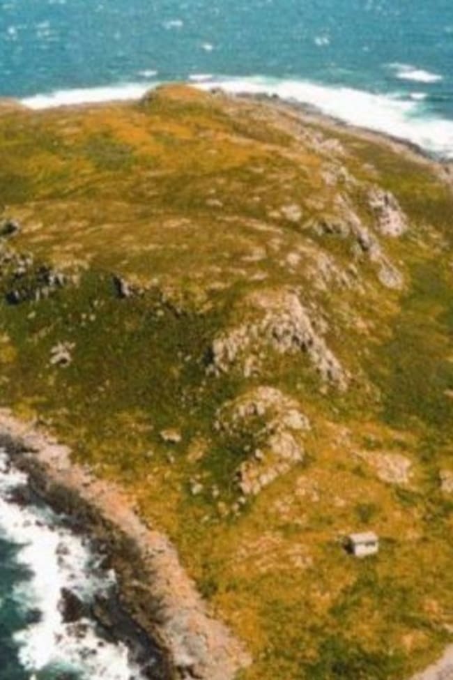 . Ninth Island Bridport TAS 7262