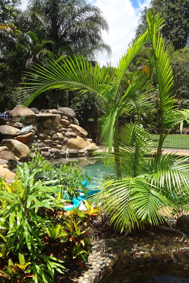 Malanda QLD 4885