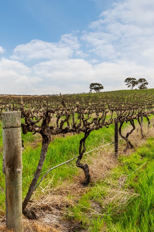 211 Kays Road Blewitt Springs SA 5171