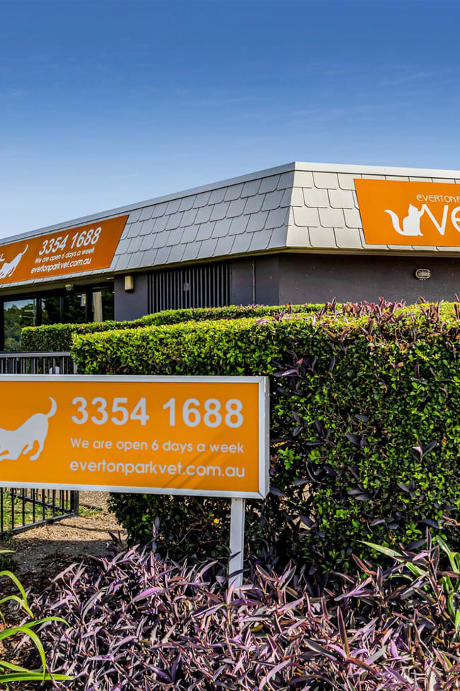 574 - 576 South Pine Road Everton Park QLD 4053